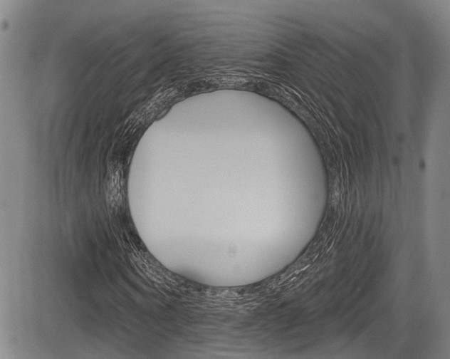X0000084050866200702160922