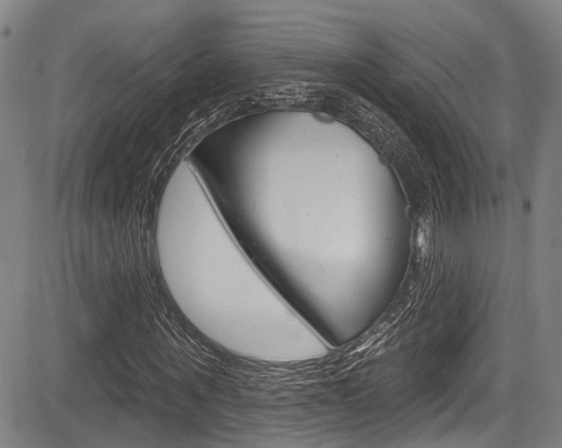 X0000084050867200702160922