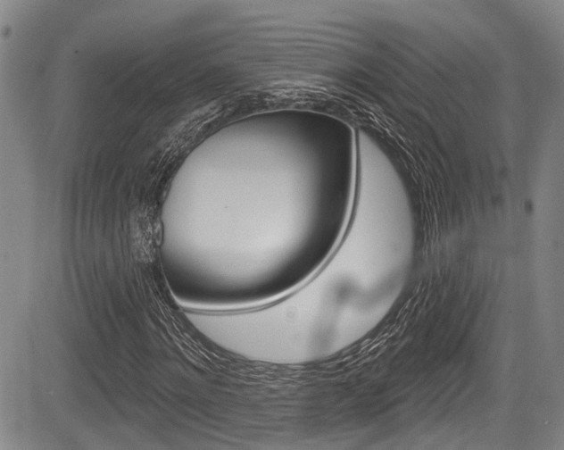 X0000084050868200702160922