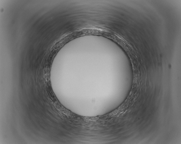 X0000084050870200702160922