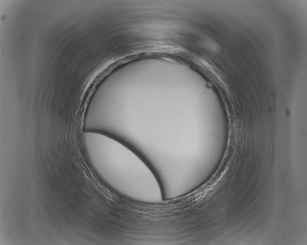 X0000084050875200702160922