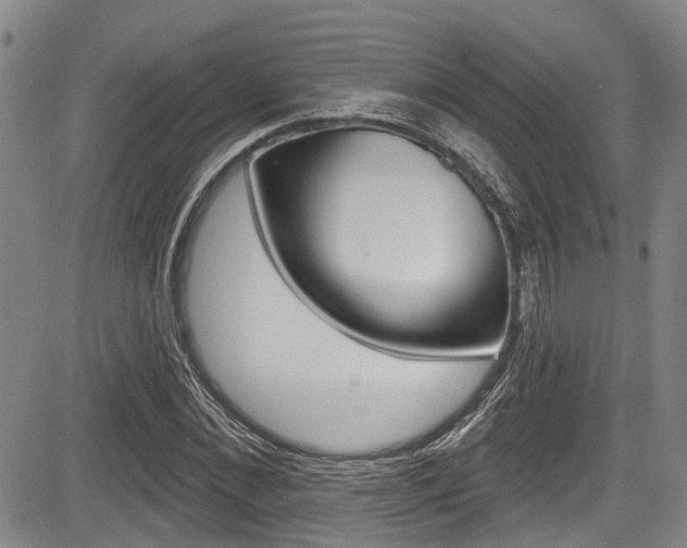 X0000084050876200702160922