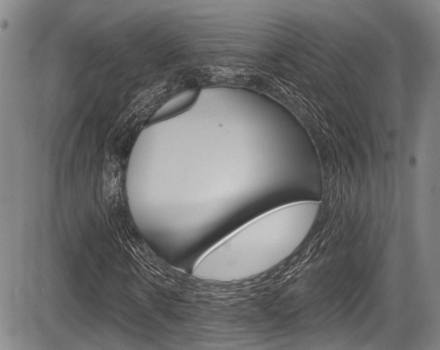 X0000084050914200702160921