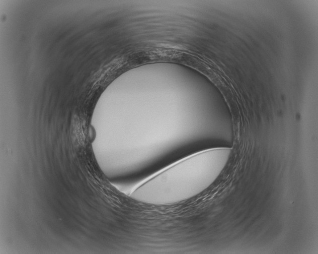 X0000084050915200702160921