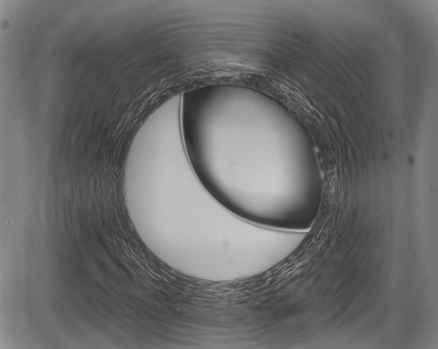 X0000084050916200702160921