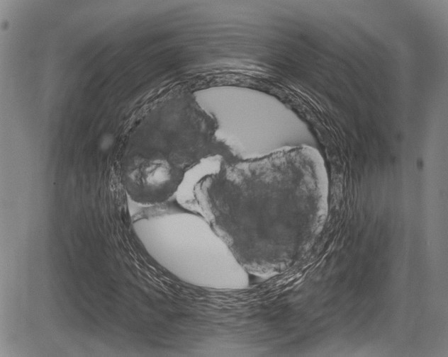 X0000084050917200702160921