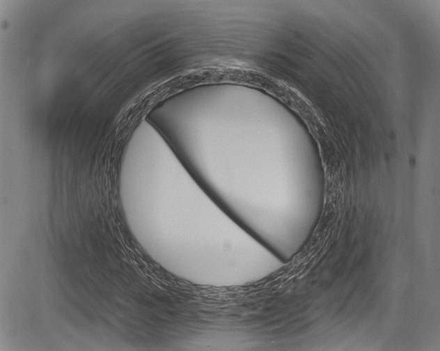 X0000084050919200702160921
