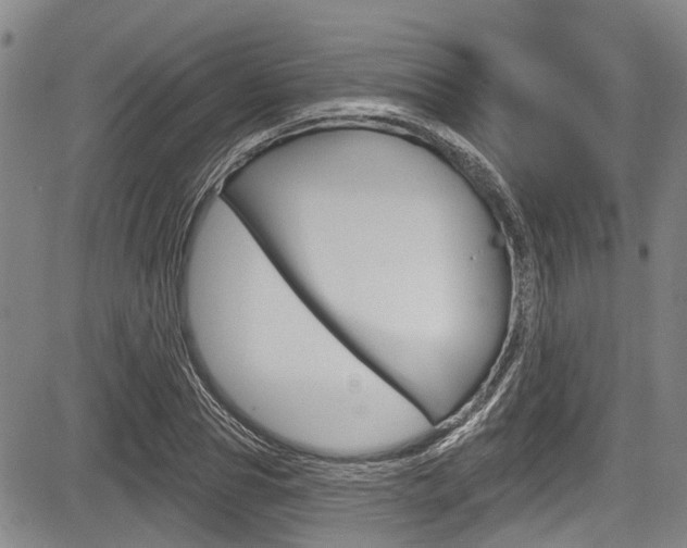 X0000084050929200702160921