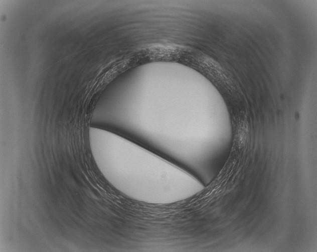 X0000084050964200702160921