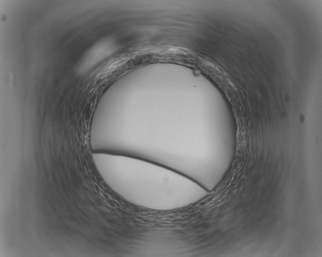 X0000084050966200702160921