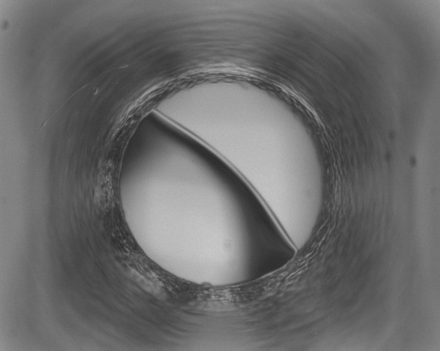 X0000084050968200702160920