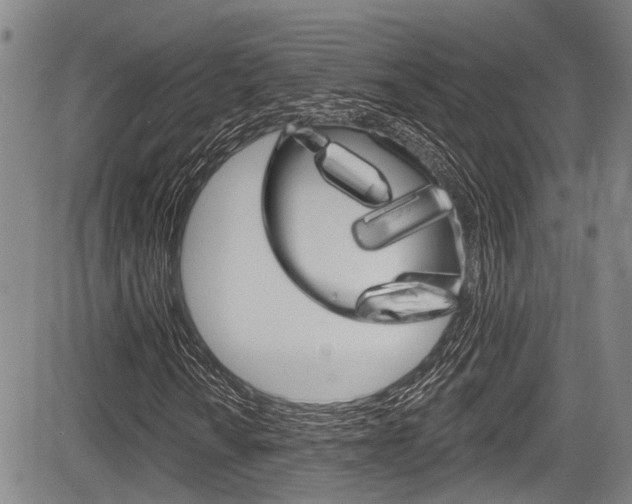 X0000084051010200702160919