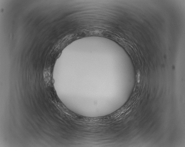 X0000084051011200702160919