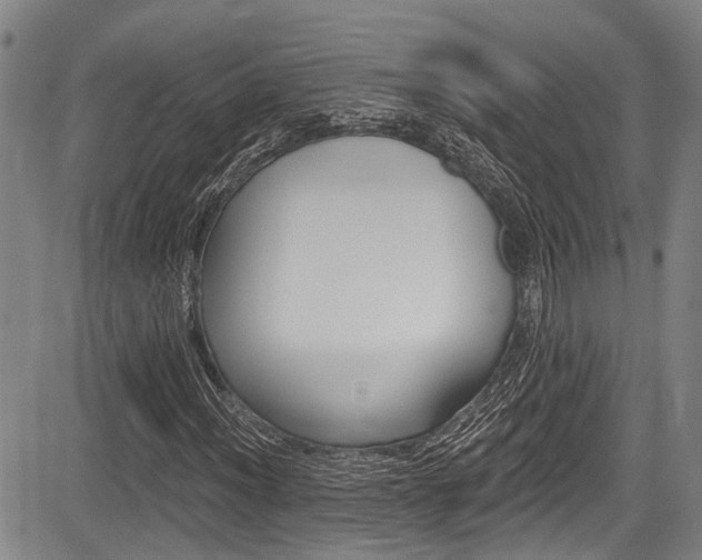 X0000084051012200702160919