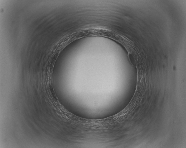 X0000084051014200702160919