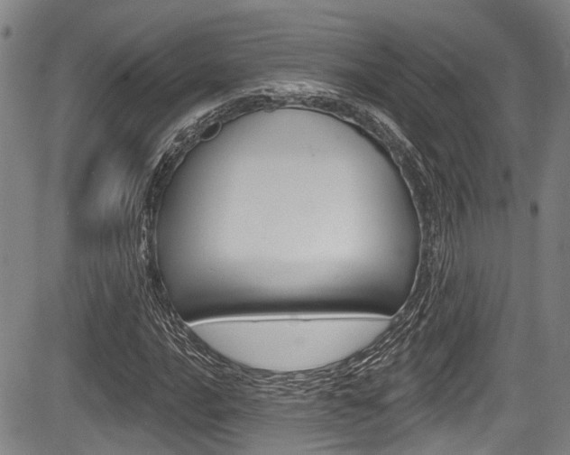 X0000084051016200702160919