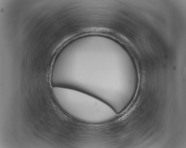 X0000084051017200702160919