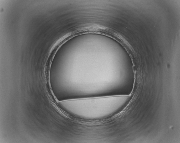 X0000084051026200702160919