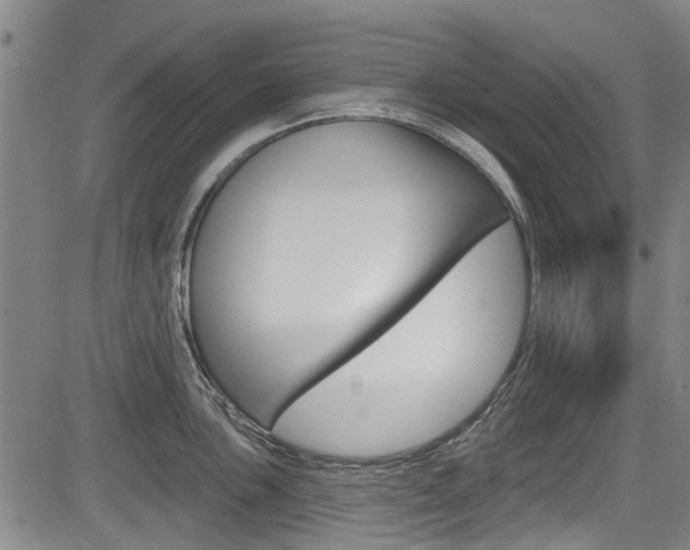 X0000084051051200702160920