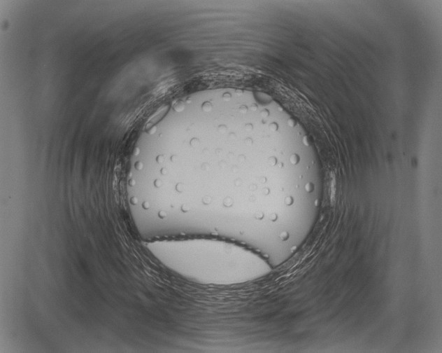 X0000084051059200702160919