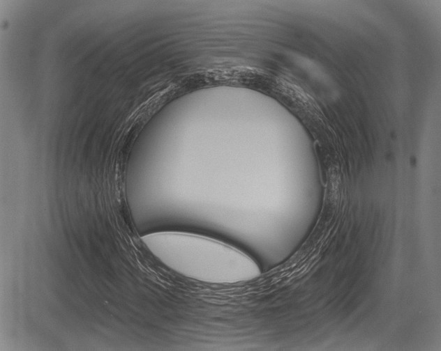 X0000084051060200702160919