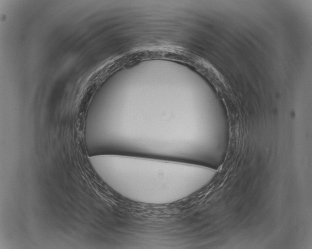 X0000084051064200702160919