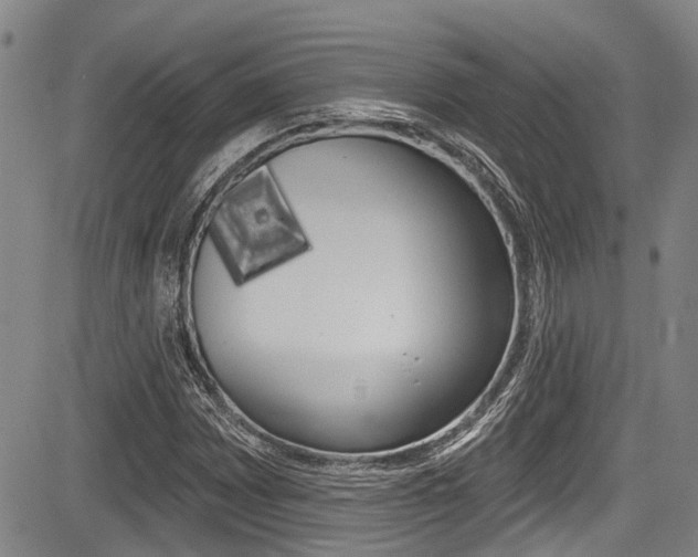 X0000084051065200702160919