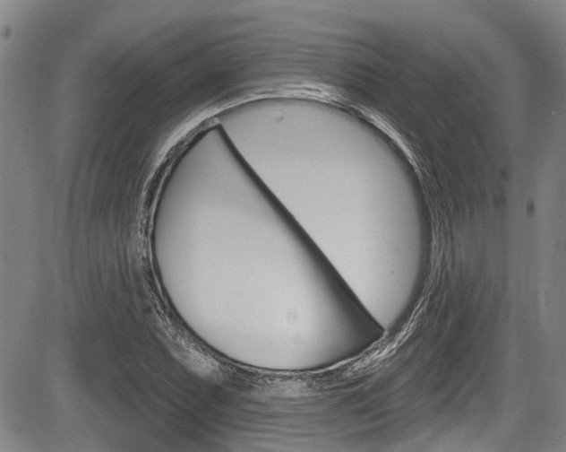 X0000084051071200702160919