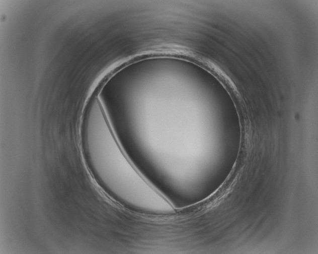 X0000084051085200702160919