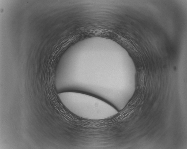 X0000084051105200702160917