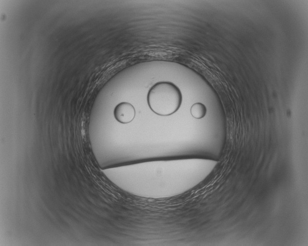 X0000084051106200702160918