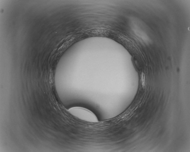 X0000084051107200702160918