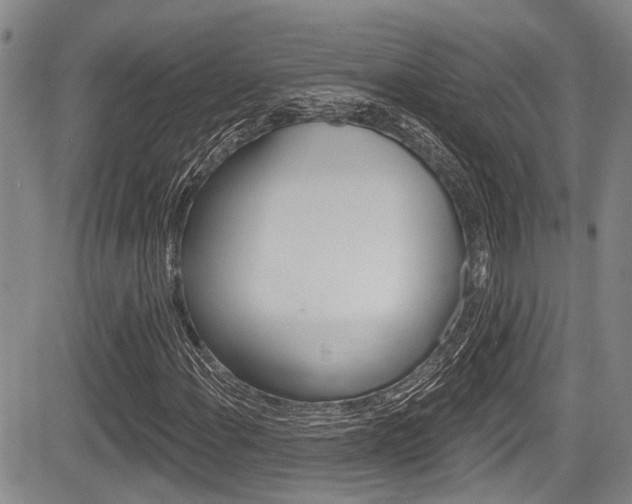X0000084051108200702160918