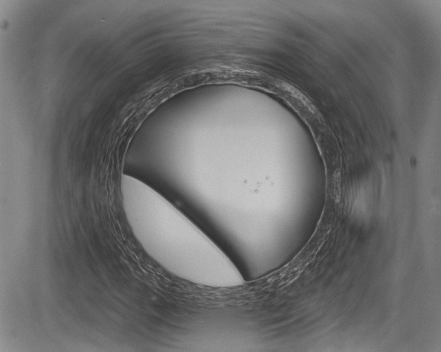 X0000084051111200702160918