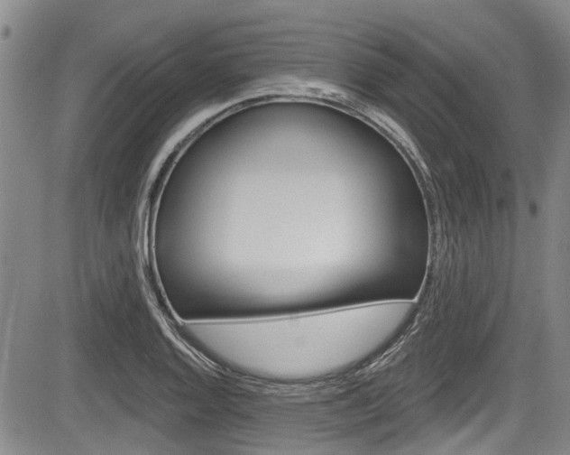 X0000084051128200702160918