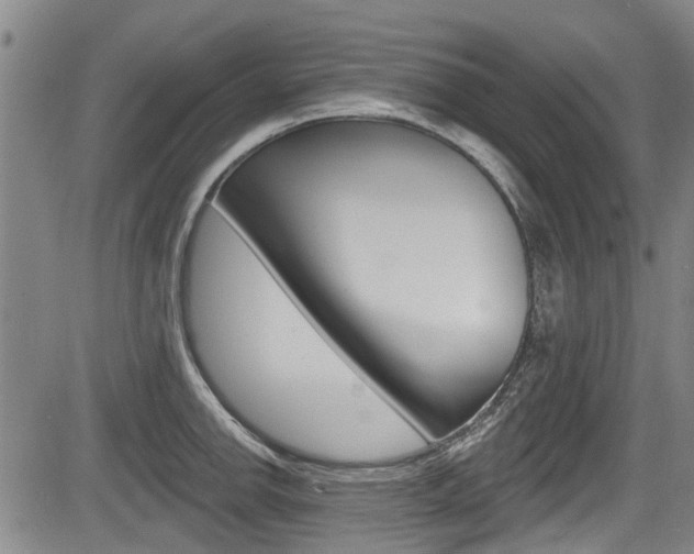 X0000084051142200702160918