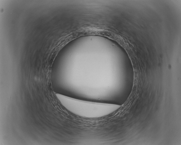X0000084051157200702160917