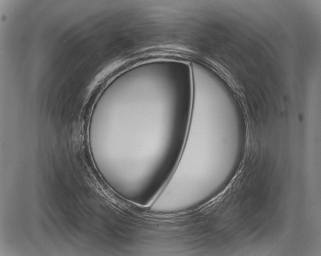 X0000084051164200702160917