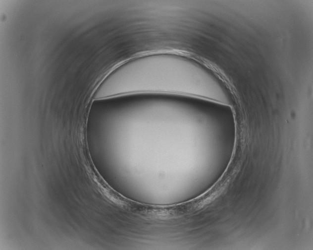 X0000084051177200702160917