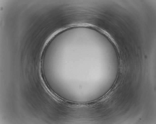 X0000084051187200702160917