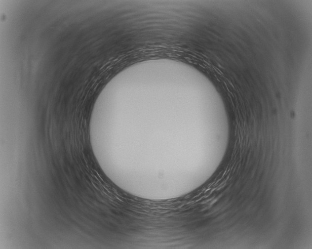 X0000084051202200702160916