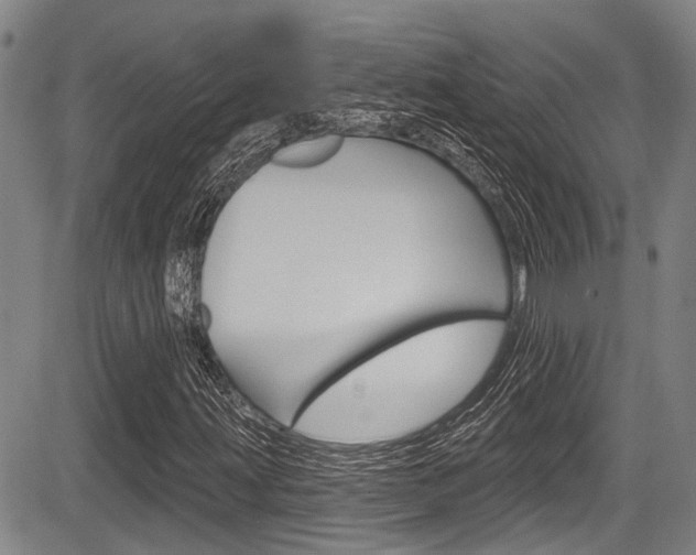 X0000084051203200702160916
