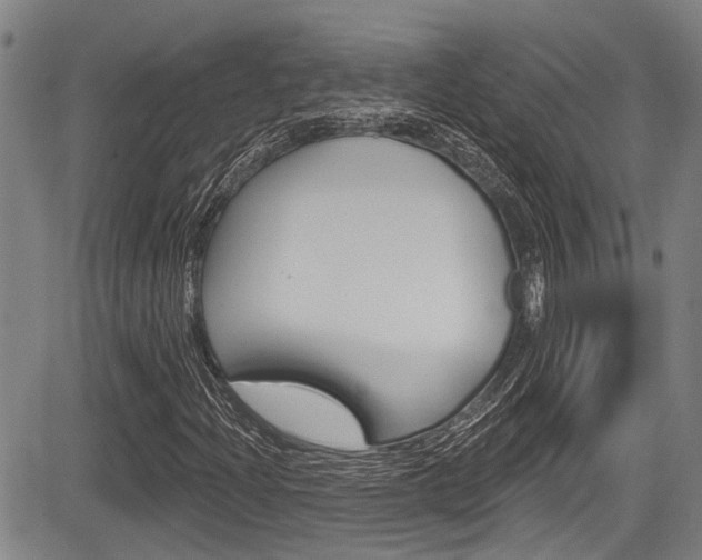 X0000084051204200702160916