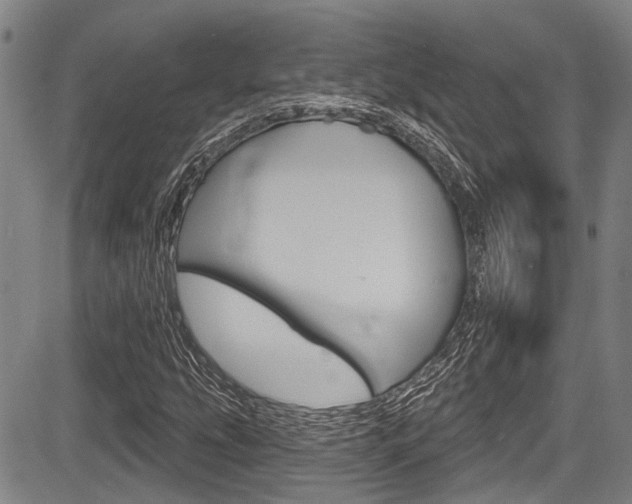 X0000084051207200702160916
