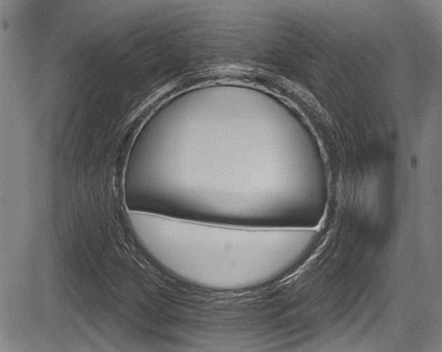 X0000084051209200702160916