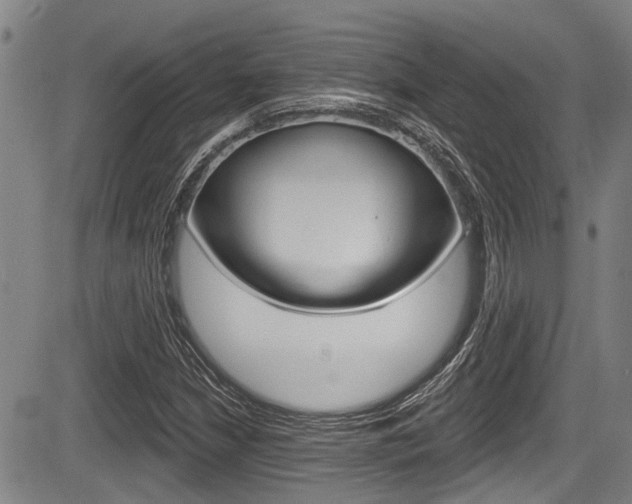 X0000084051210200702160916