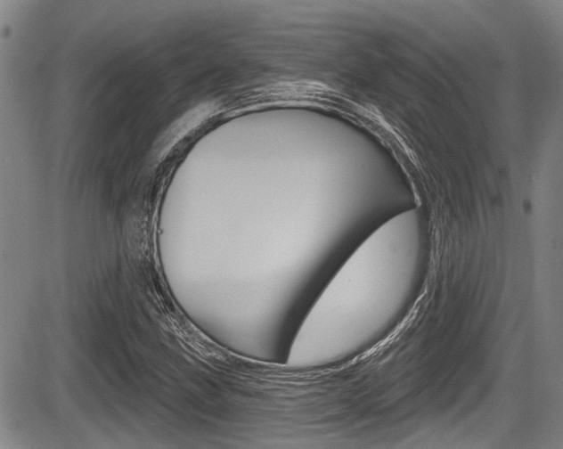 X0000084051211200702160916