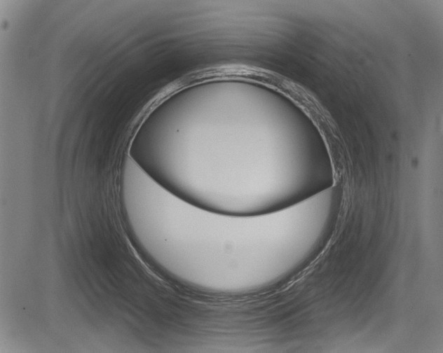 X0000084051225200702160916