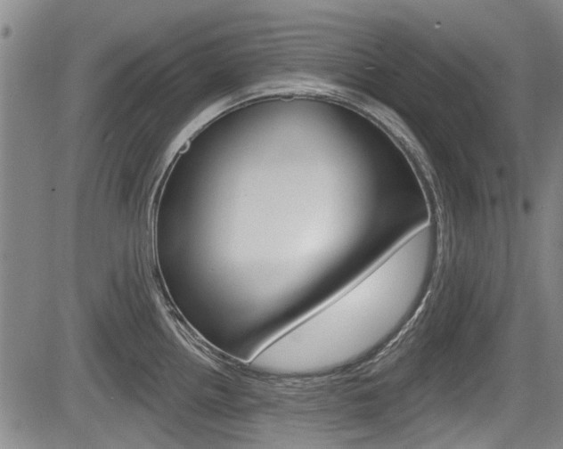 X0000084051242200702160917