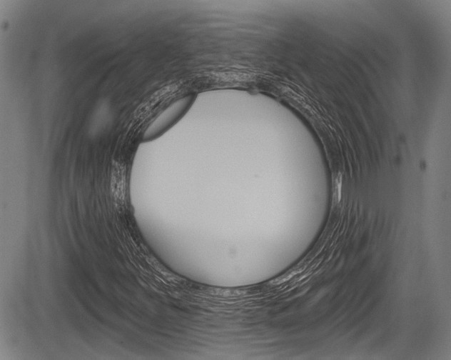X0000084051251200702160916